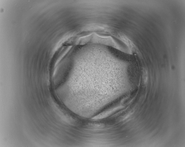 X0000060790582200511241847