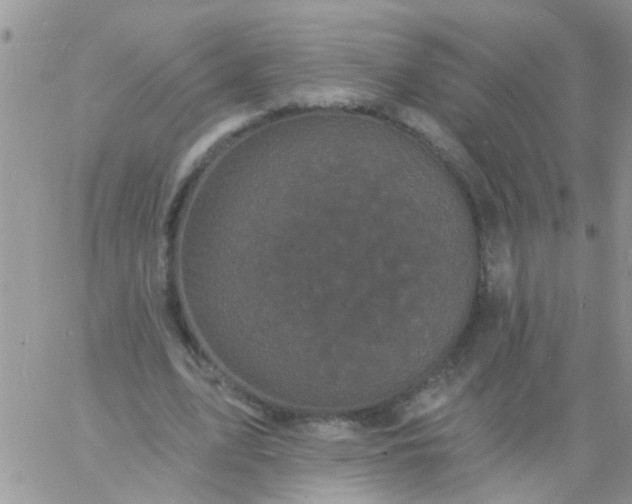 X0000060790583200511241847