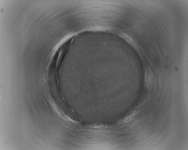 X0000060790584200511241847