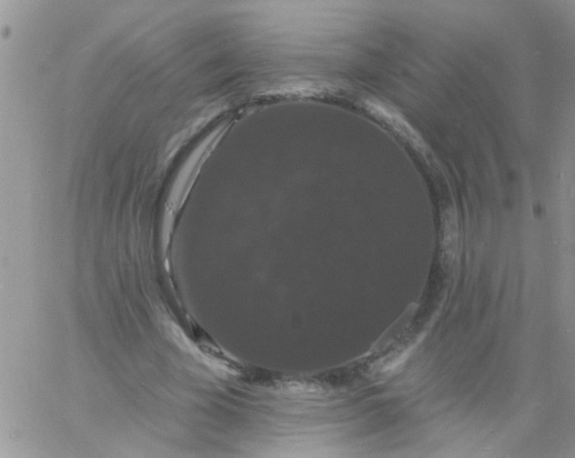 X0000060790585200511241847