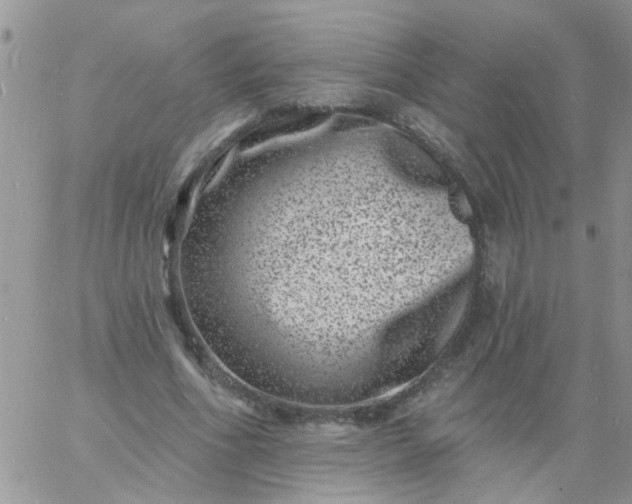 X0000060790586200511241847