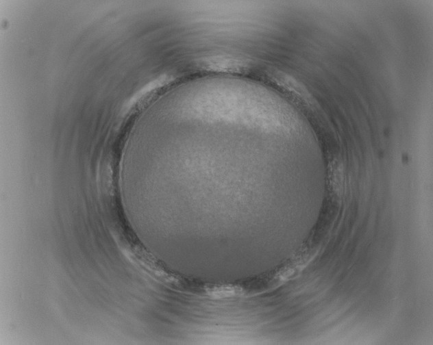 X0000060790587200511241847