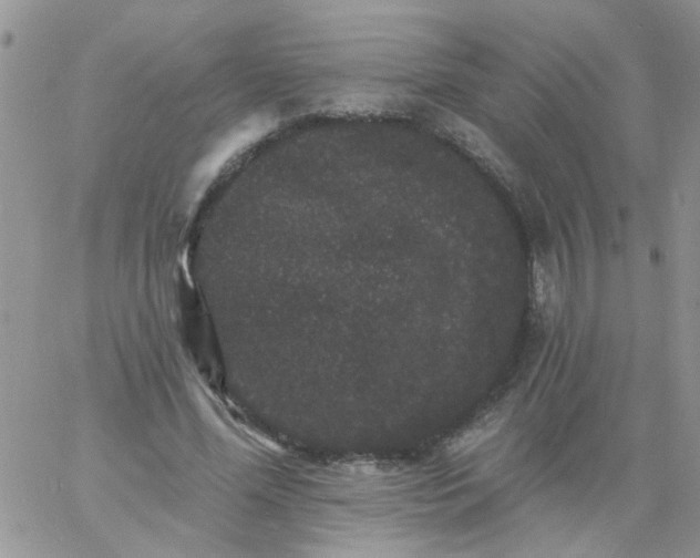 X0000060790588200511241847