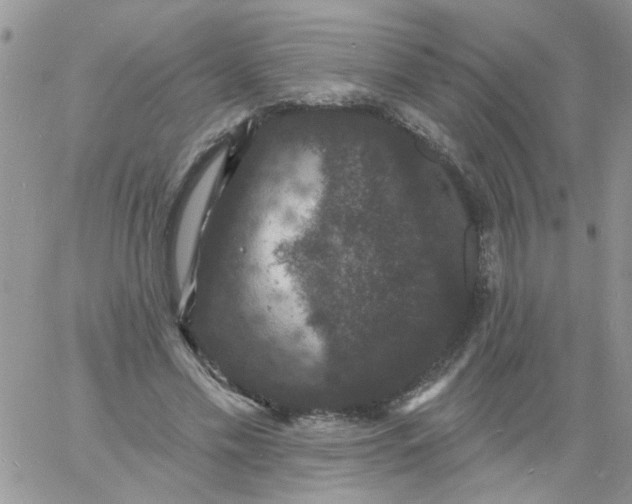 X0000060790589200511241847