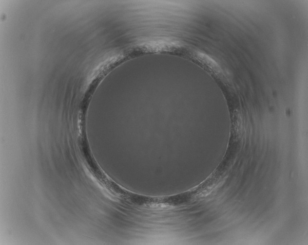 X0000060790590200511241847