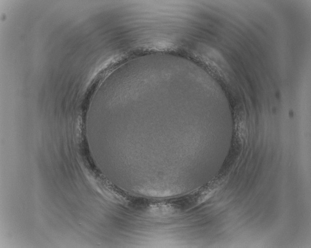 X0000060790591200511241847