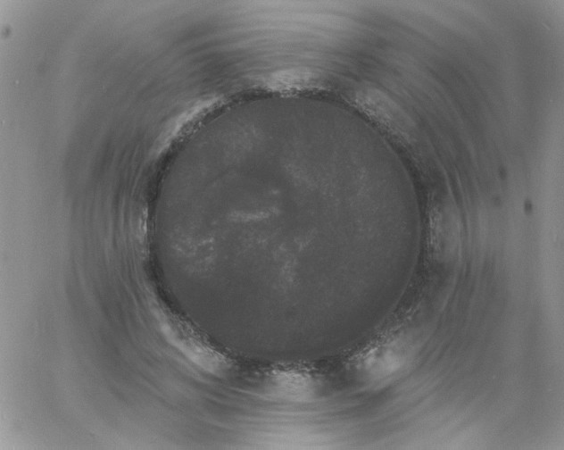 X0000060790592200511241847