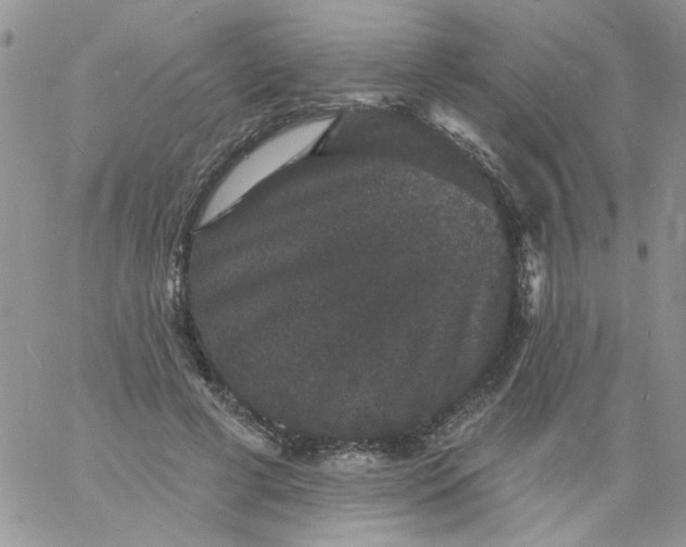 X0000060790593200511241847