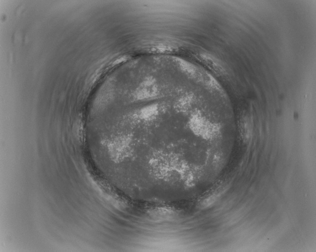 X0000060790594200511241847