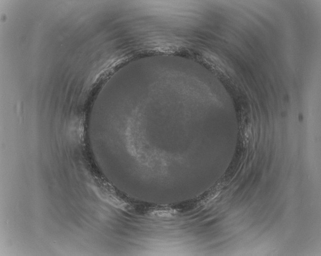 X0000060790595200511241847