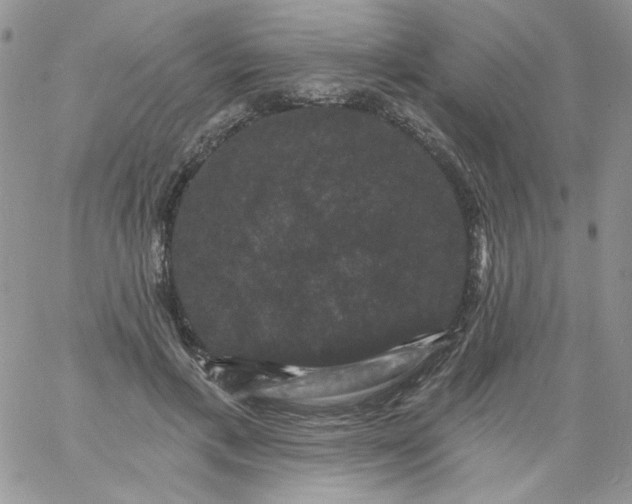 X0000060790597200511241847