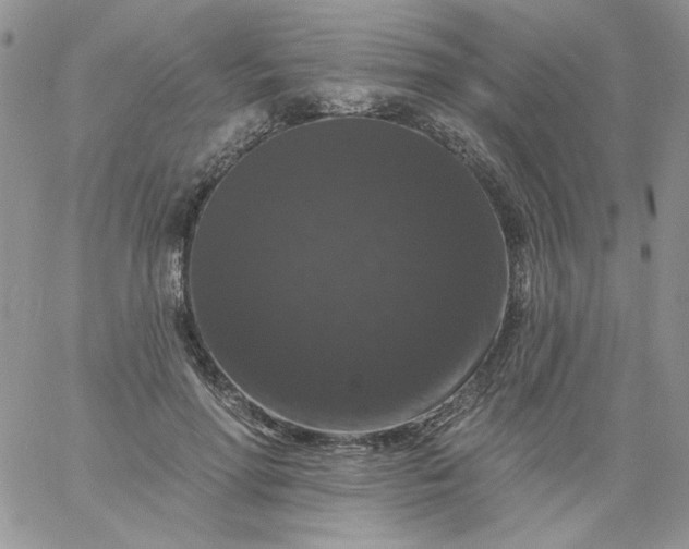 X0000060790598200511241847