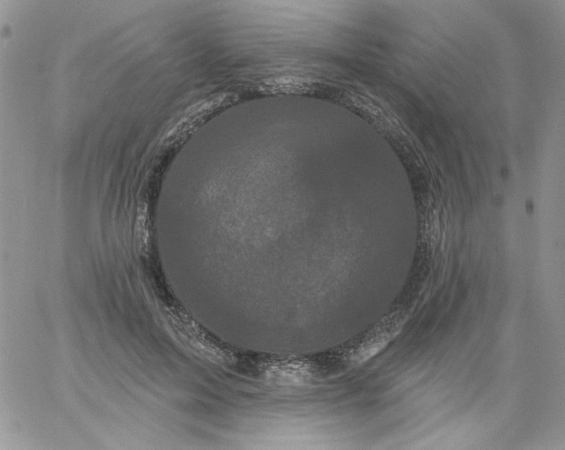 X0000060790599200511241847