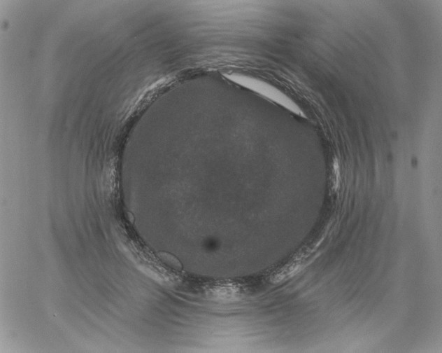 X0000060790600200511241847