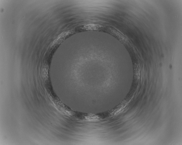 X0000060790603200511241847