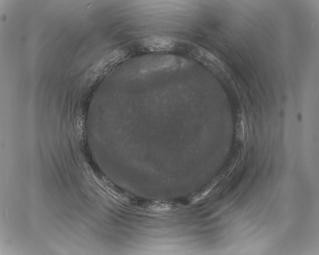 X0000060790604200511241847