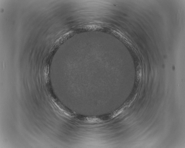 X0000060790605200511241847