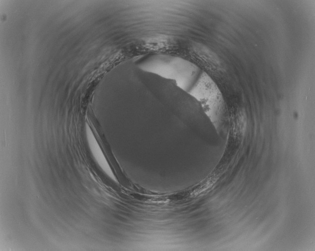 X0000060790606200511241847