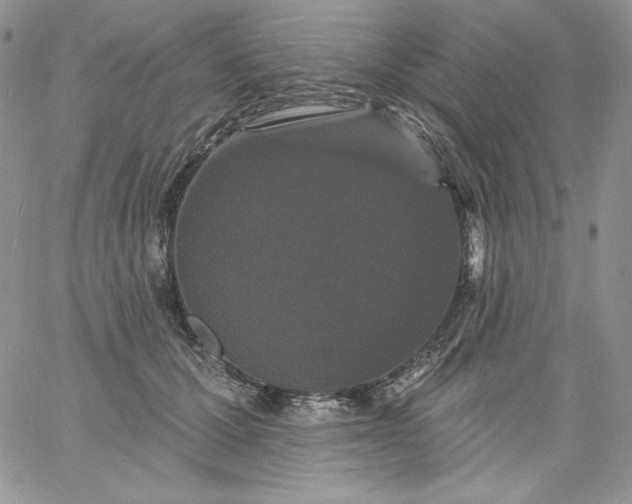 X0000060790607200511241847