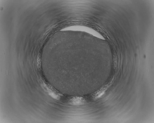 X0000060790609200511241847