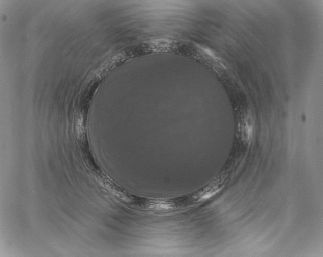 X0000060790610200511241847