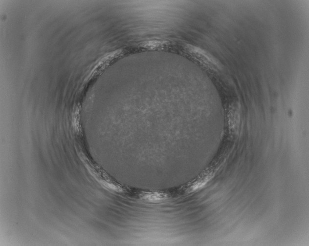 X0000060790611200511241847