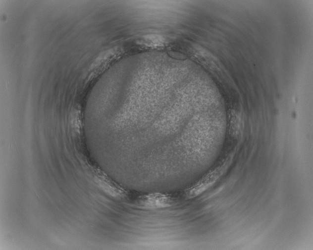 X0000060790612200511241847