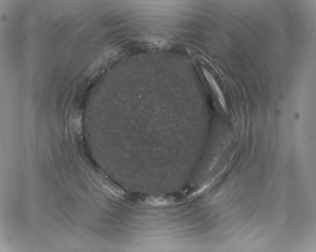 X0000060790613200511241846