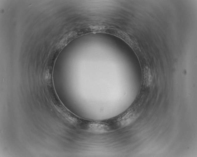 X0000060790614200511241846