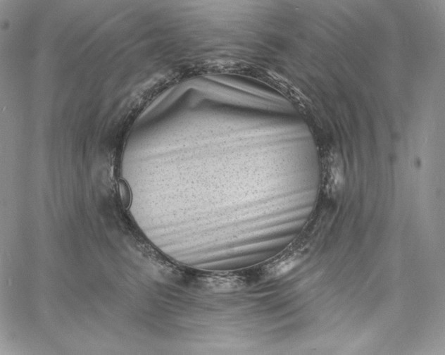 X0000060790615200511241846