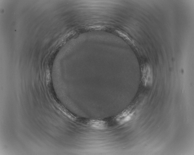 X0000060790617200511241846