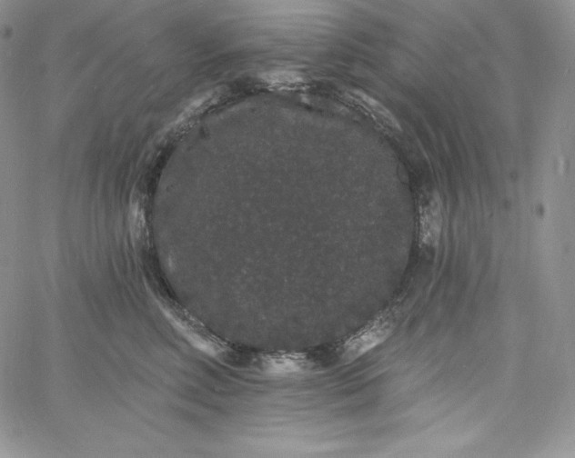 X0000060790618200511241846