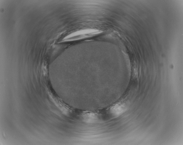 X0000060790620200511241846