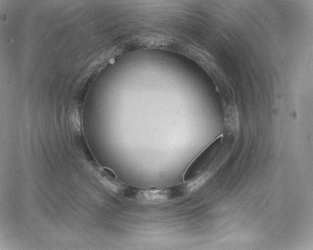 X0000060790622200511241846