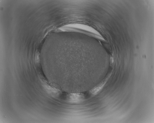 X0000060790623200511241846