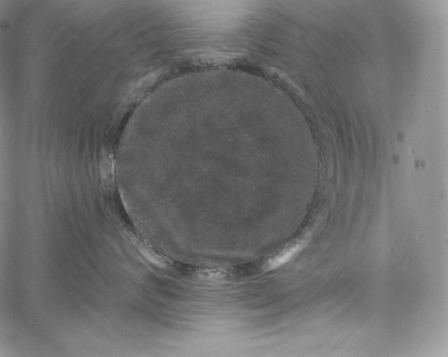 X0000060790624200511241846