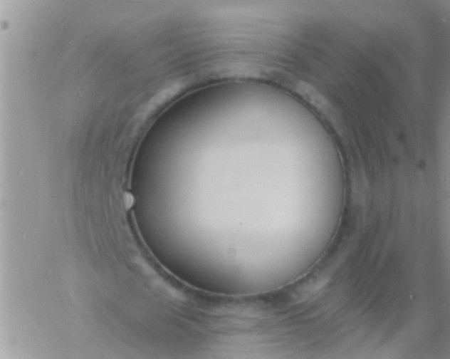 X0000060790625200511241846