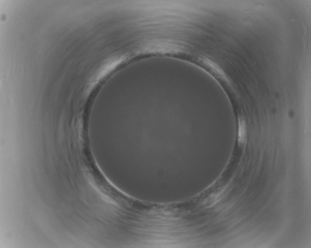 X0000060790627200511241846