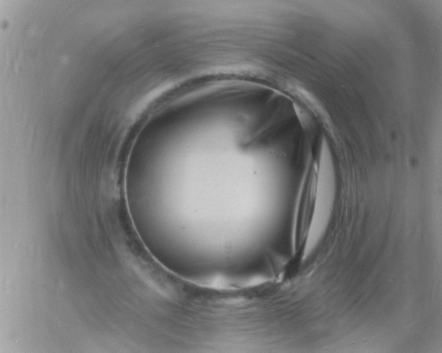 X0000060790628200511241846