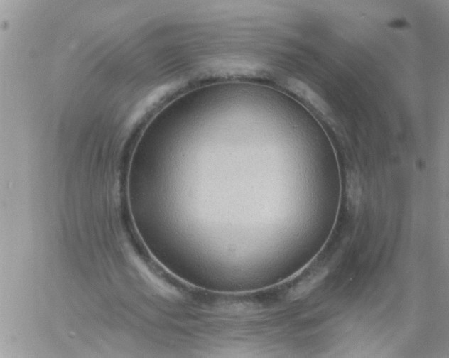 X0000060790629200511241846