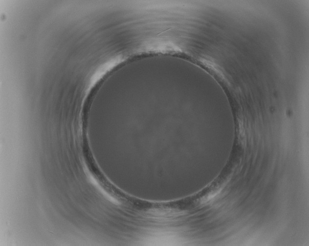 X0000060790630200511241846