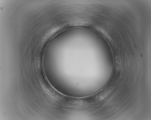 X0000060790631200511241846