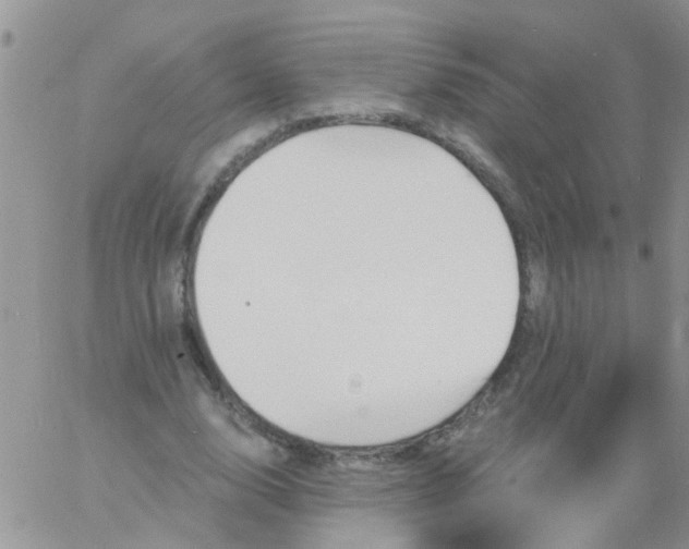 X0000060790632200511241846