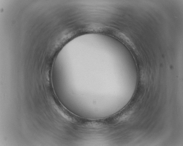 X0000060790633200511241846