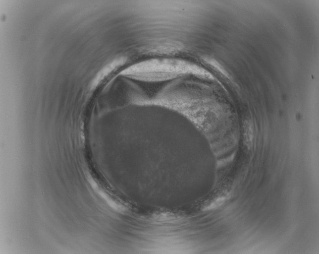 X0000060790634200511241846