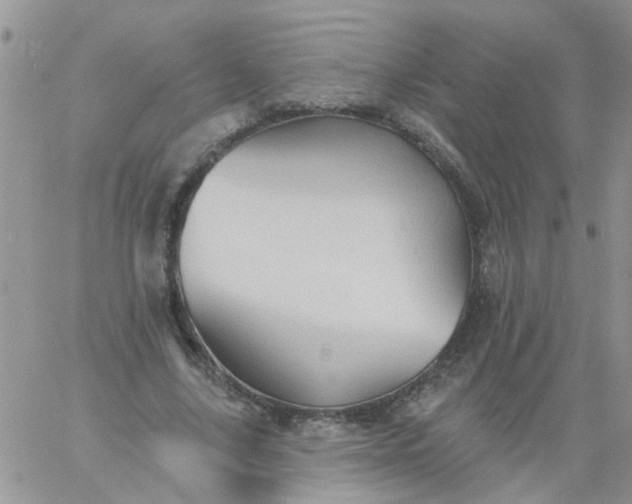 X0000060790635200511241846