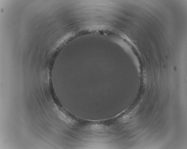 X0000060790637200511241846