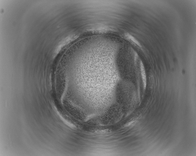 X0000060790638200511241846