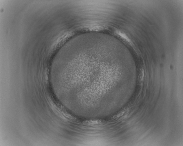 X0000060790639200511241846