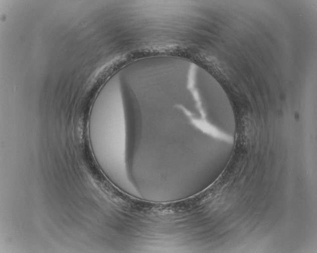 X0000060790640200511241846